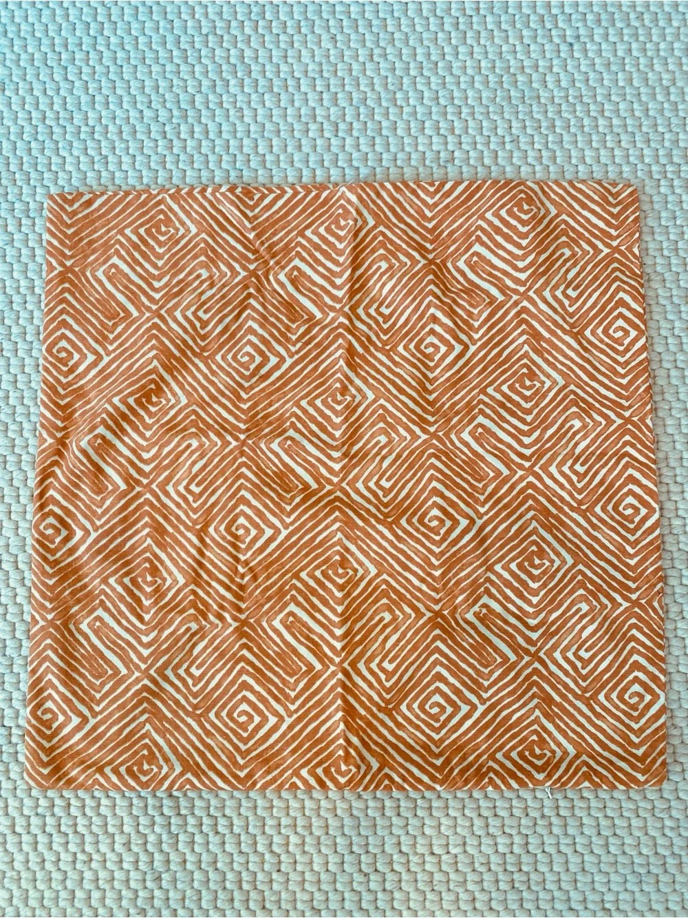 Set of 2 Custom Made by Interior Designer 22 x 22 Pillow Case Covers